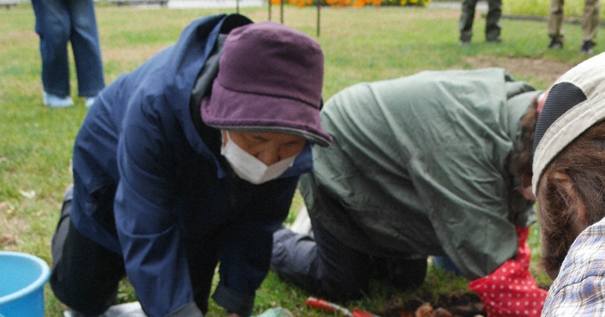 札幌・大通公園で冬支度着々　来春へチューリップの球根植え込み