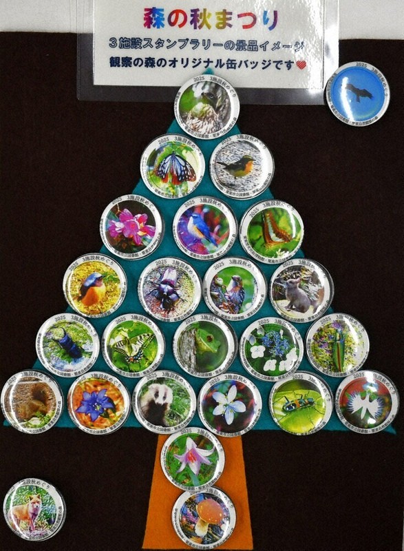 激レア　非売品　ヤマノススメ　 スタンプラリー　限定　缶バッジセット スタンプラリーで缶バッジゲット 自然観察の森、19日催し 栗東 ／滋賀
