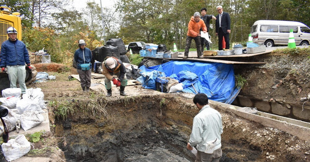 ナウマンゾウ化石発掘 新発見へ、今年も調査 体験会で「足跡」状の