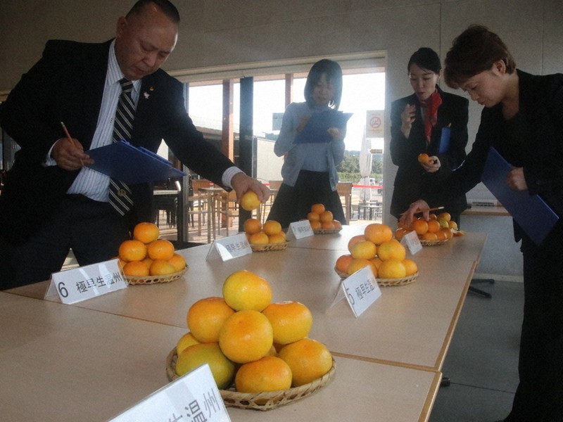 【みかん】令和5年度第4回　5回　久留米附設中模試 英進館 みかん】令和5年度第4回 5回 久留米附設中模試 英進館 みかん】令和5