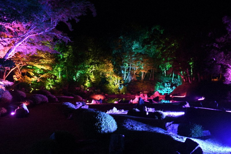 秋の夜の風情楽しんで 山口・常栄寺 雪舟庭 ライトアップ始まる ／山口