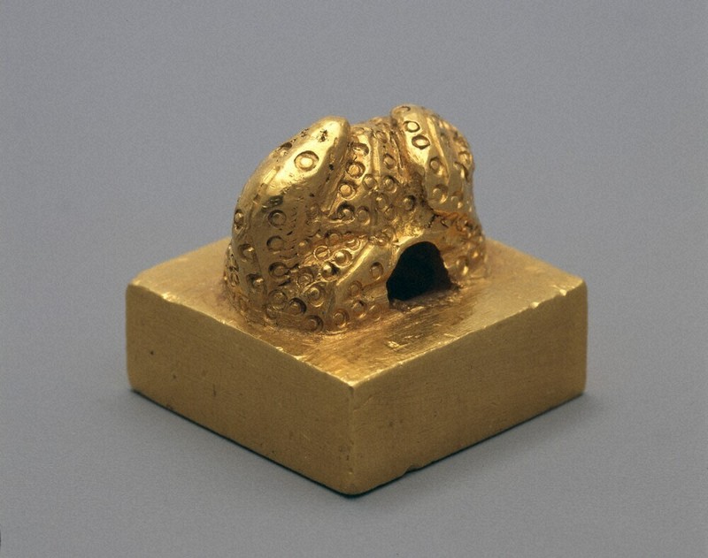 文化財のあした：福岡県春日市 奴国の遺跡群 住宅地の中、保存・活用に