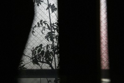 ＝尾籠章裕撮影