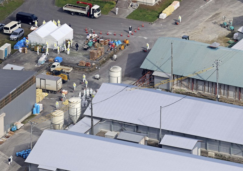 北海道の養鶏場で今季初の鳥インフル 45万羽超殺処分へ | 毎日新聞