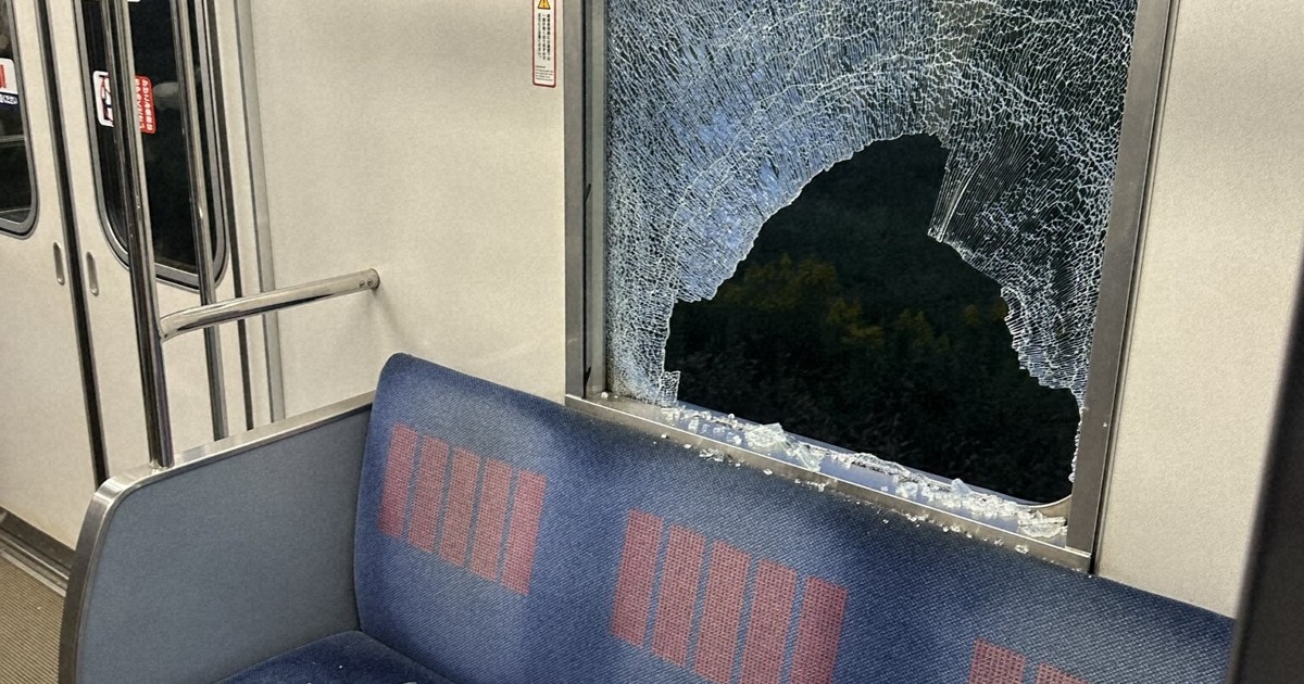 5 passengers injured after deer smashes windows of train north of Tokyo