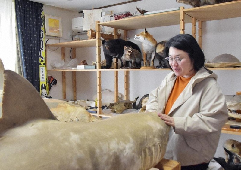 光の中へ 視覚障害者の美術館・博物館アクセス 光の中へ 視覚障害者の美術館・博物館アクセス 光の中へ 視覚