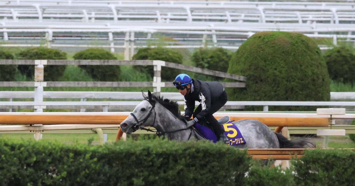相棒は双眼鏡:菊花賞でヤマニンブークリエを推す理由＝競馬ライター井内利彰さん