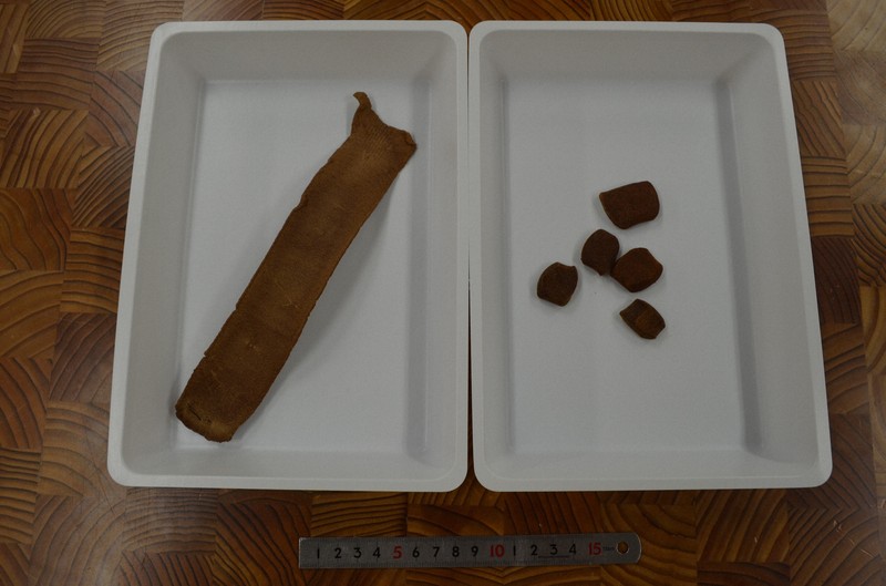 安く高品質なウニ養殖に光 画期的なエサの秘密は靴にも使う新素材