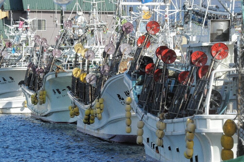 小型イカ釣り漁船 休漁 函館市長「死活問題」 水産庁に再開を要望
