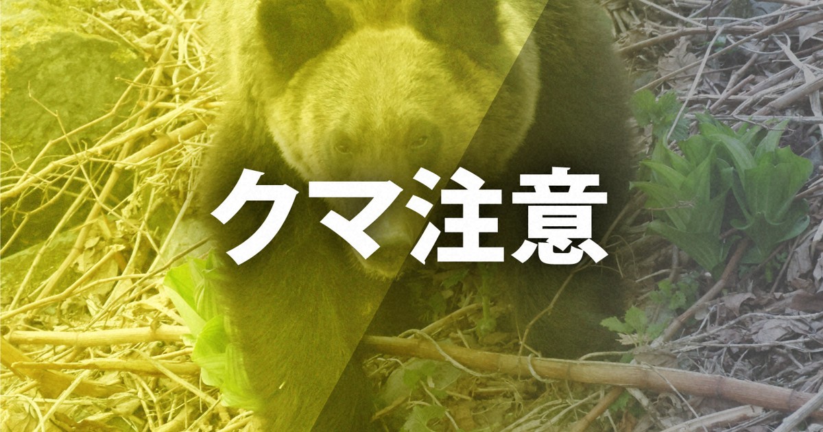 岩手でクマ出没9270件、38人被害　1月から注意報に切り替え