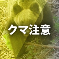 クマ注意