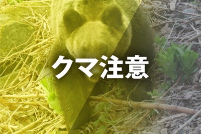 岩手でクマ出没9270件、38人被害 1月から注意報に切り替え | 毎日新聞