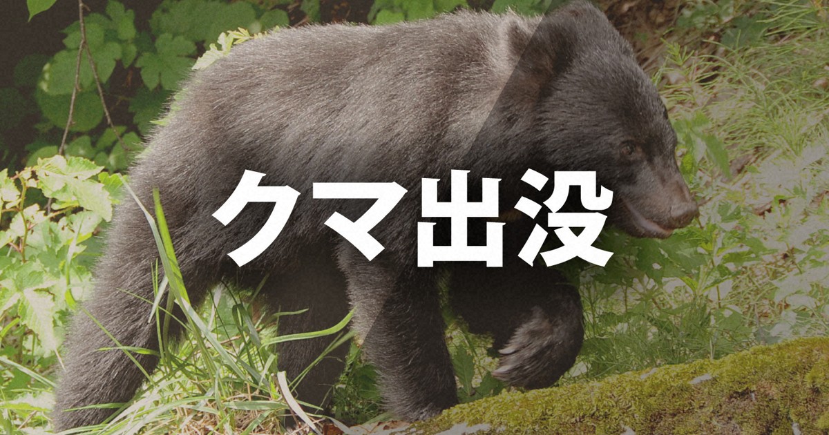 日本郵便　クマ出没地域での集配業務は「一時見合わせ」の可能性