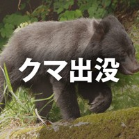 クマ出没