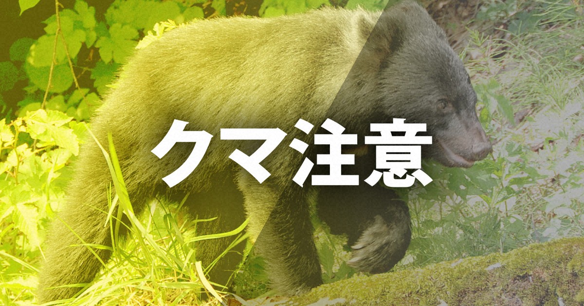 青森・西目屋村役場にクマ侵入　正面玄関の自動ドアから