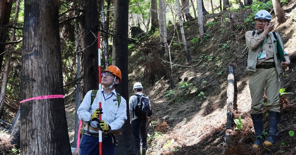 大船渡の山林火災　被害額100億円超に　山林だけで59億円