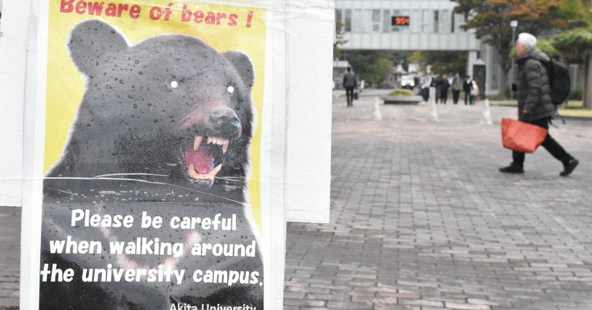 クマページ ぷんぷんヒグマ | ニック・ブランド, あべ弘士 |本 | 通販 | Amazon