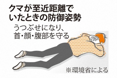 クマが至近距離でいたときの防御姿勢