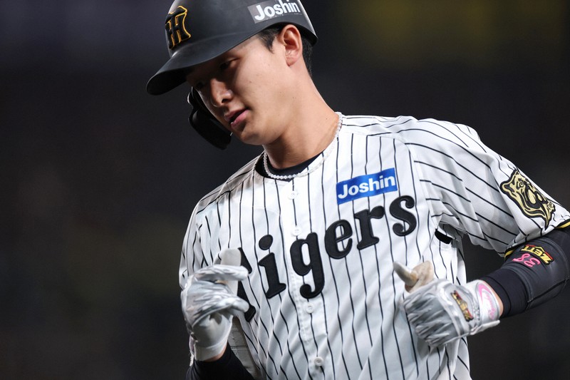 日本シリーズ2005 オフィシャルボール 阪神甲子園球場 新作登場，限定