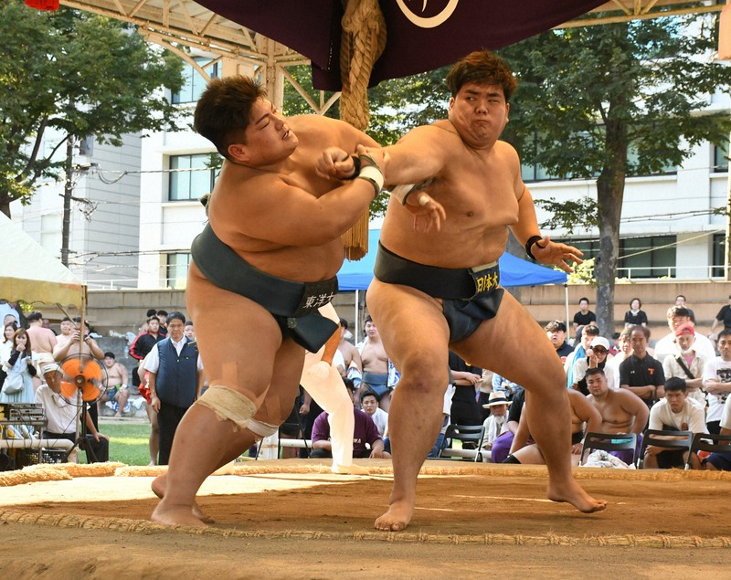 今年の学生横綱は? 全国学生相撲選手権、11月1日に個人戦 | 毎日新聞
