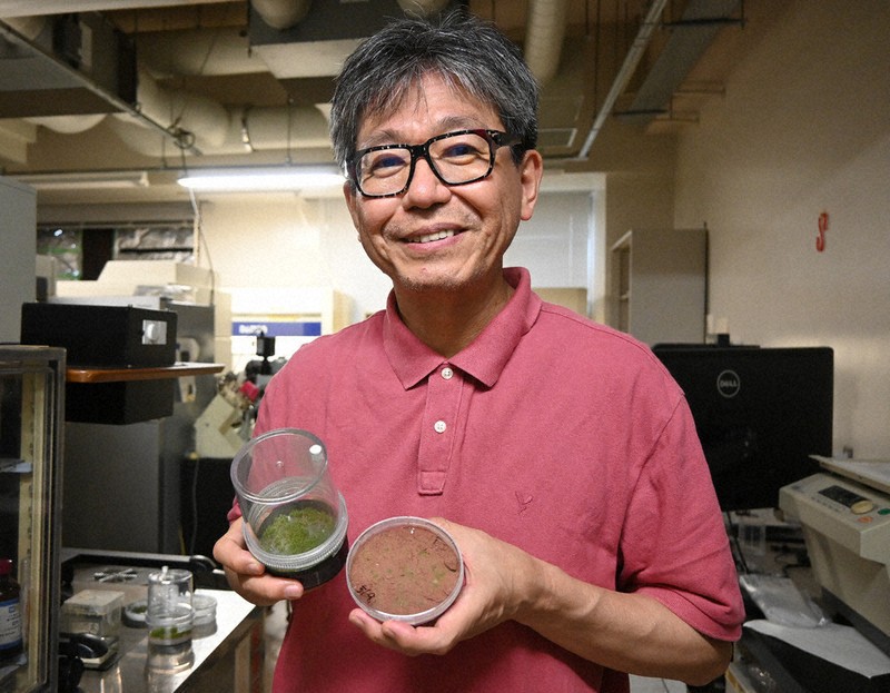 北海道での育林研究 古希記念 農学博士 佐藤清左衛門 北海道での育林研究 古希記念 農学博士 佐藤清左衛門