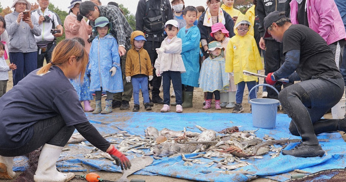 Easy Japanese news in translation: People try beach seine fishing in Miyazaki Prefecture