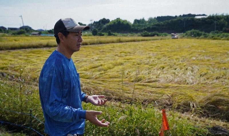 コメ作り諦めない、農家の決意 奥能登の田んぼに今も残る災害の痕跡
