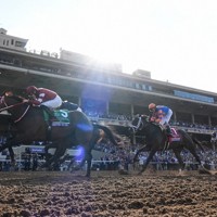 馬主は「ウマ娘」のIT社長 米最高峰レースで日本馬が史上初V [写真特集