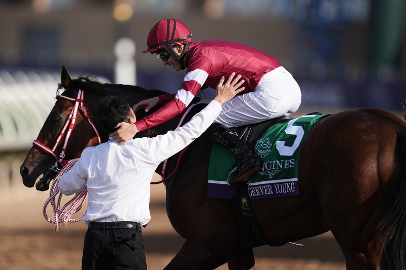 馬主は「ウマ娘」のIT社長 米最高峰レースで日本馬が史上初V [写真特集