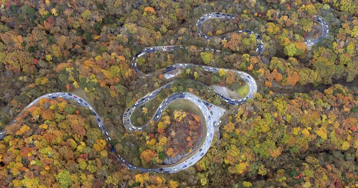 赤や黄色の木々鮮やかに　いろは坂の紅葉見ごろ　栃木・日光