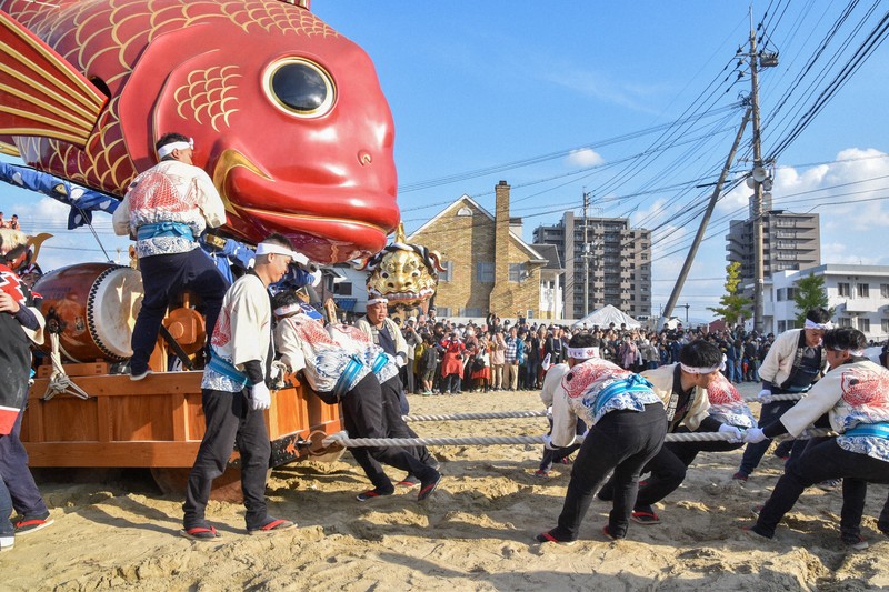 曳山の迫力に「孫もとりこ」 唐津くんち、御旅所神幸に24万人歓声