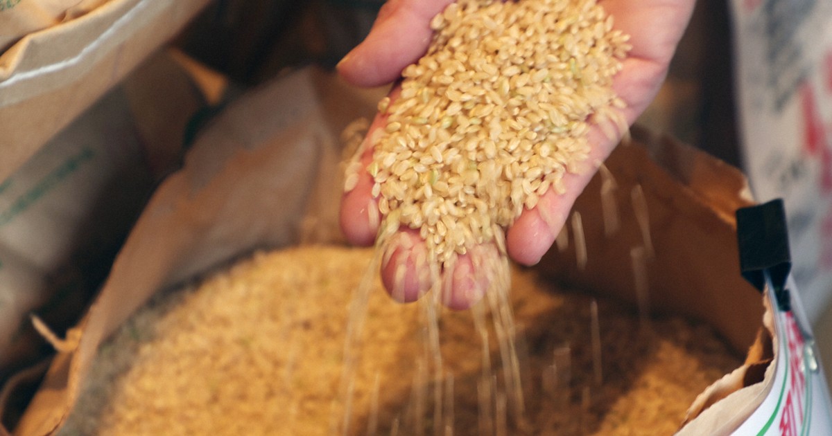 Editorial: Japan needs blueprint for stable rice production as prices soar