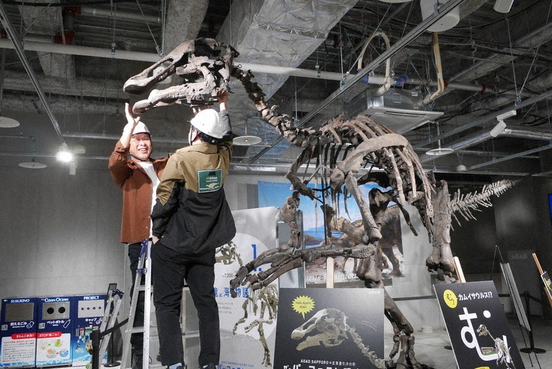 恐竜とクジラ 化石レプリカ 札幌で企画展 ／北海道 | 毎日新聞