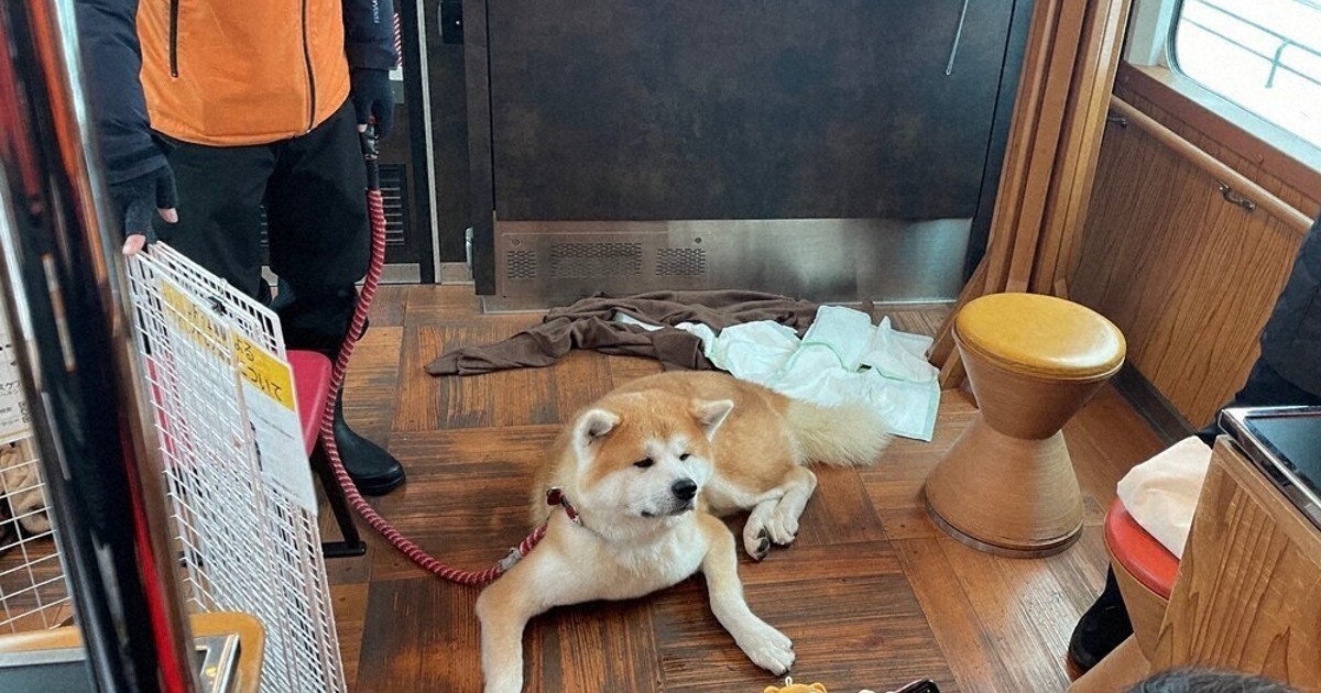秋田犬 マサ君と一緒に乗ろう JR五能線・観光列車 12、1、2月の3日間