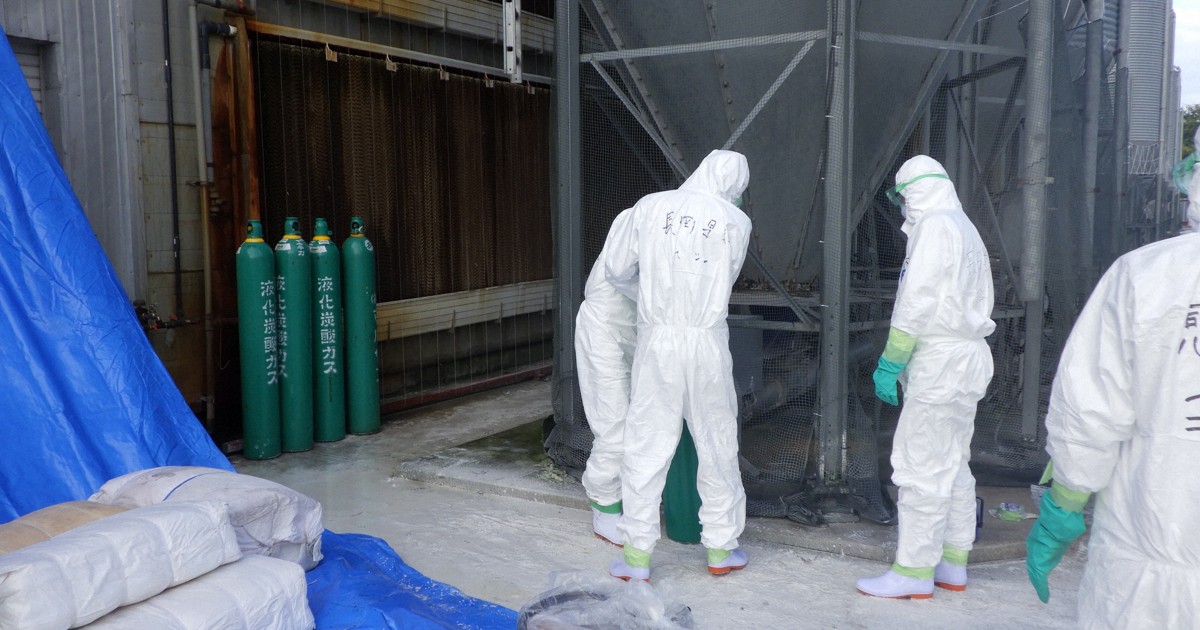 新潟・胎内の養鶏場で鳥インフル陽性　63万羽の殺処分開始