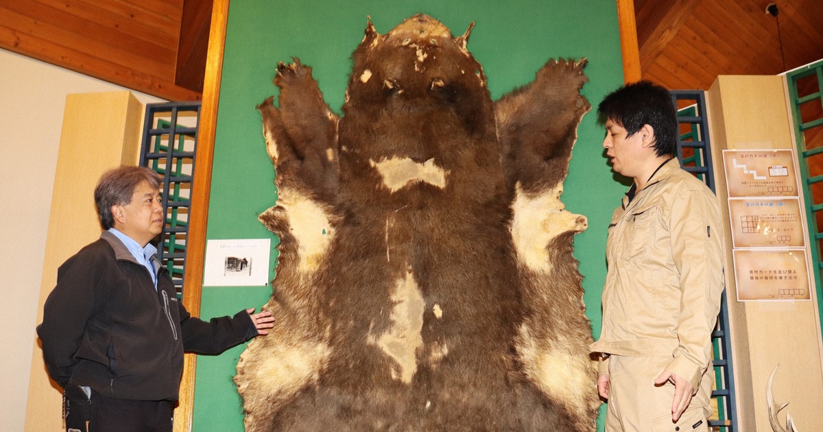 専用　アイヌ玉　羆　ヒグマ歯　根付　北海道　羆毛敷物 1世紀進歩ない」クマ対策 4人死亡の惨劇が現代に伝える教訓 | 毎日新聞