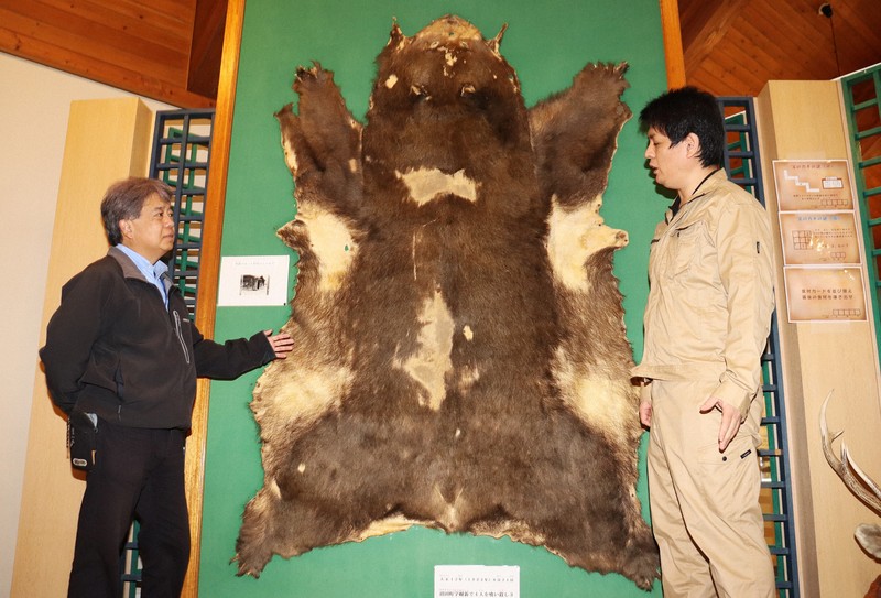 1世紀進歩ない」クマ対策 4人死亡の惨劇が現代に伝える教訓 | 毎日新聞