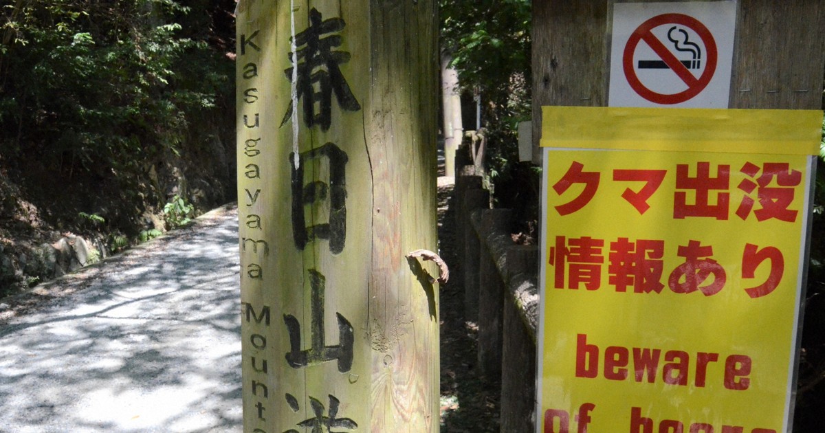 Nearly 80% of hikers anxious about bears as autumn colors arrive in Japan: survey