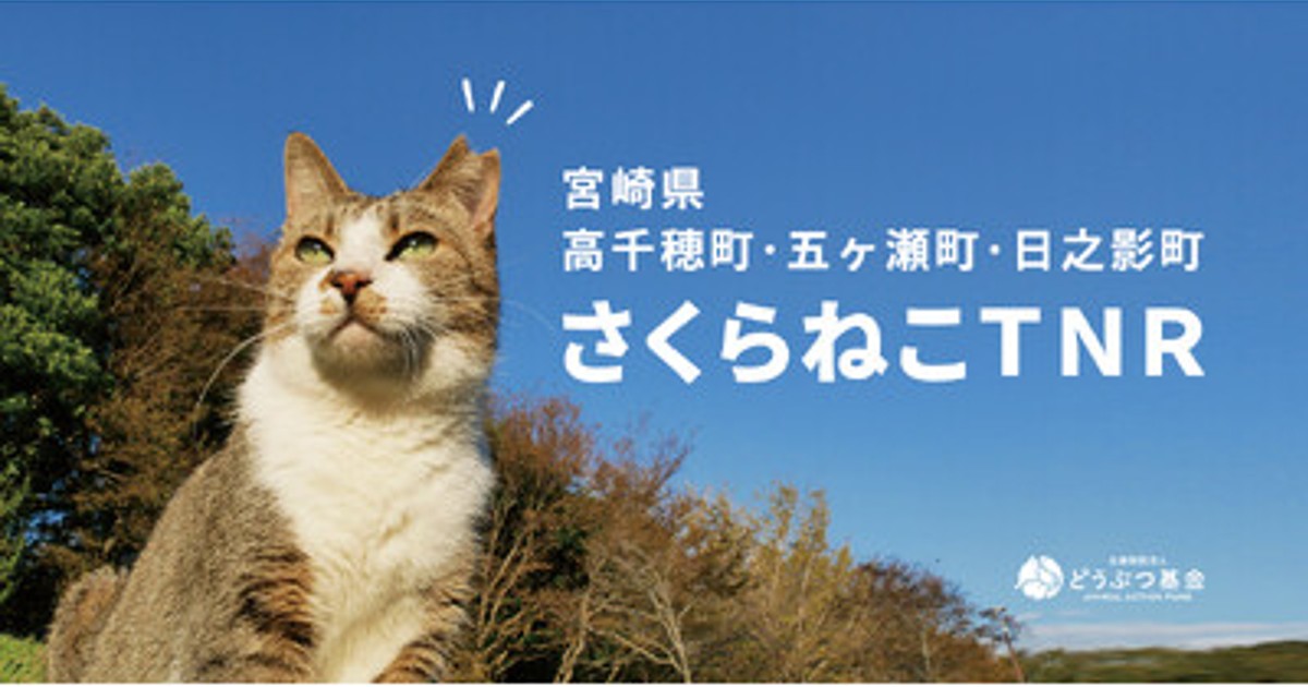 プレスリリース：［取材のお願い］宮崎県山間部の猫を救うプロジェクト