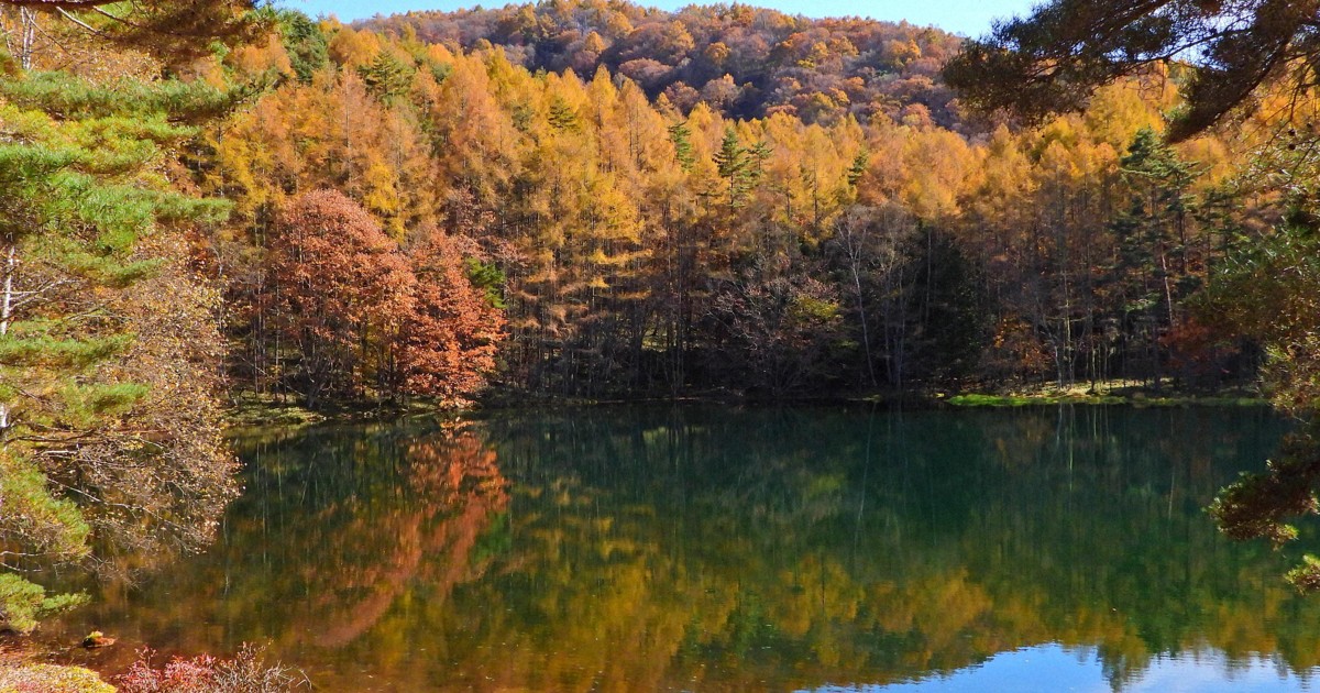 鏡のような水面に映える紅葉　御射鹿池で見ごろ、観光客にぎわう