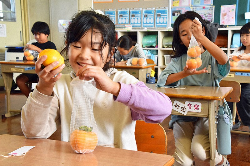 あおし柿」作りに挑戦 ドライアイスを使い渋抜き 上毛町の西吉富小3