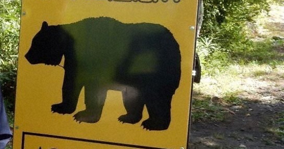 「今年は異常だ」　クマ被害深刻、イベント中止相次ぐ　広がる影響