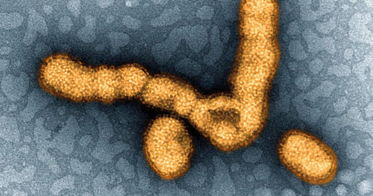 インフル流行「注意報レベル」　感染者は前週比2.3倍　全国で増加