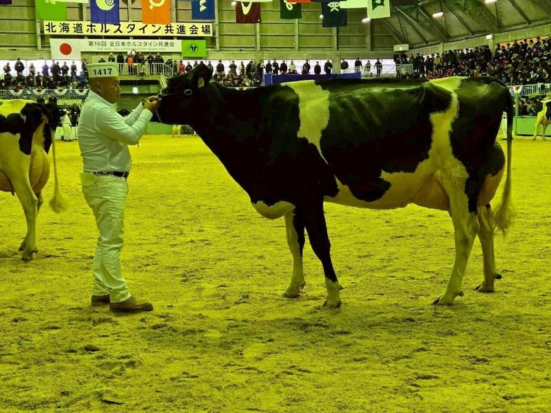 乳牛のオリンピック」 千葉県代表で30年ぶり優等賞1席 | 毎日新聞