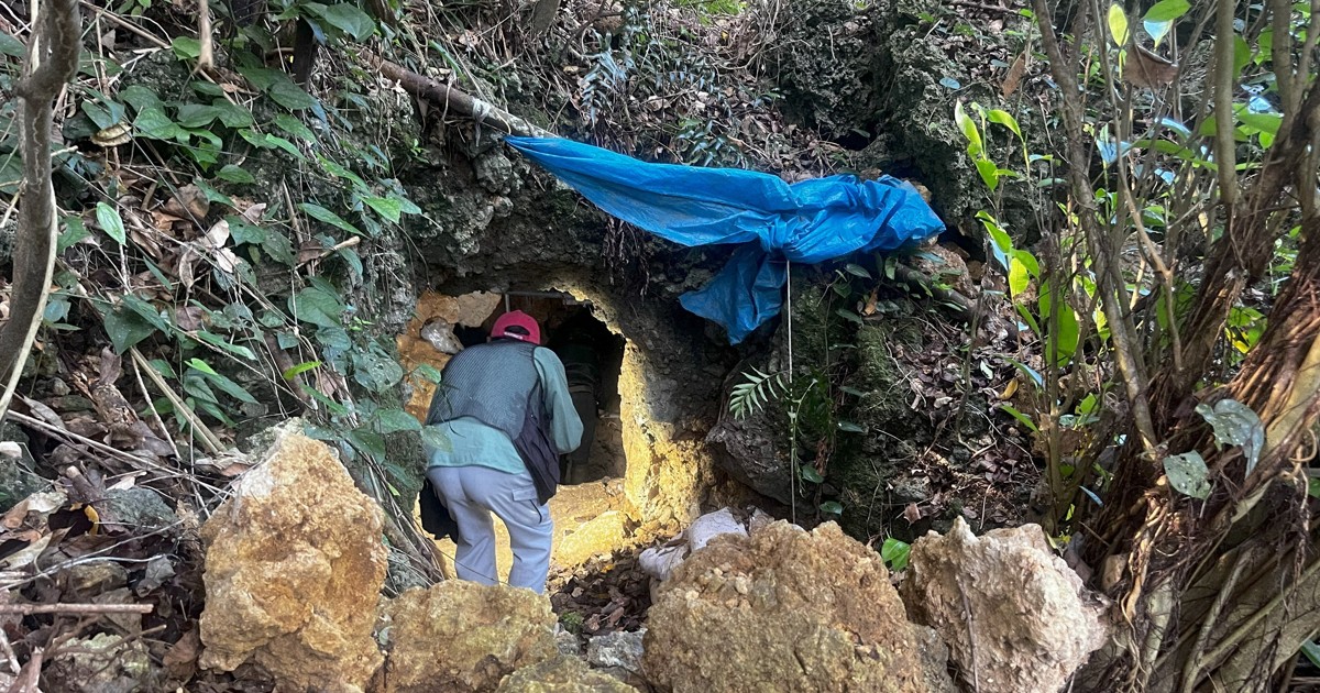 ＜1分で解説＞沖縄戦の壕から7人分の遺骨発見　民間人の可能性も