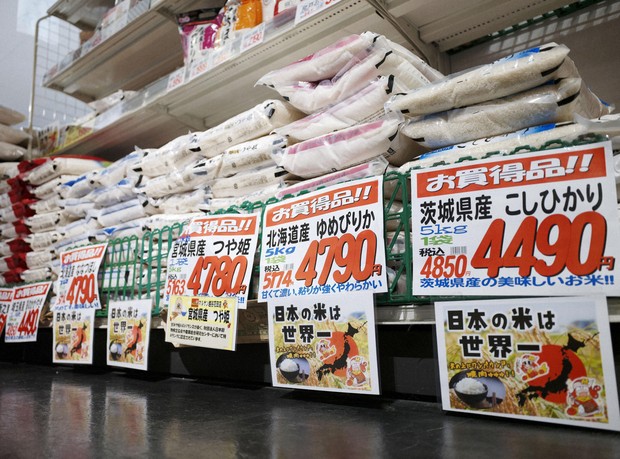 Japan gov't to include rice vouchers in upcoming economic stimulus - The  Mainichi