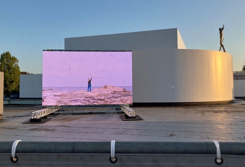 石蕗と白い小菊　作者 Hiroko.M ソウルで韓日芸祭展 ART：そして、能登へ至る「道」 地域をつなぐ－－SIDE CORE展 金沢