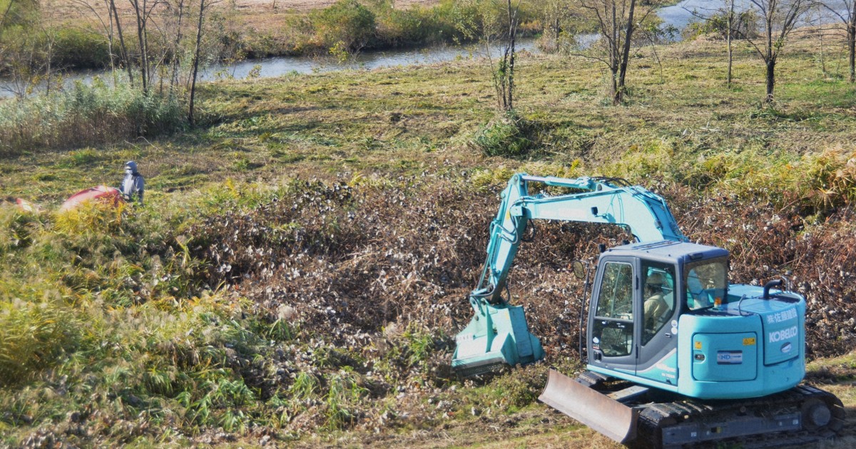 クマ対策　宮城県が河川敷のやぶ除去に着手　人里侵入や突発遭遇防止