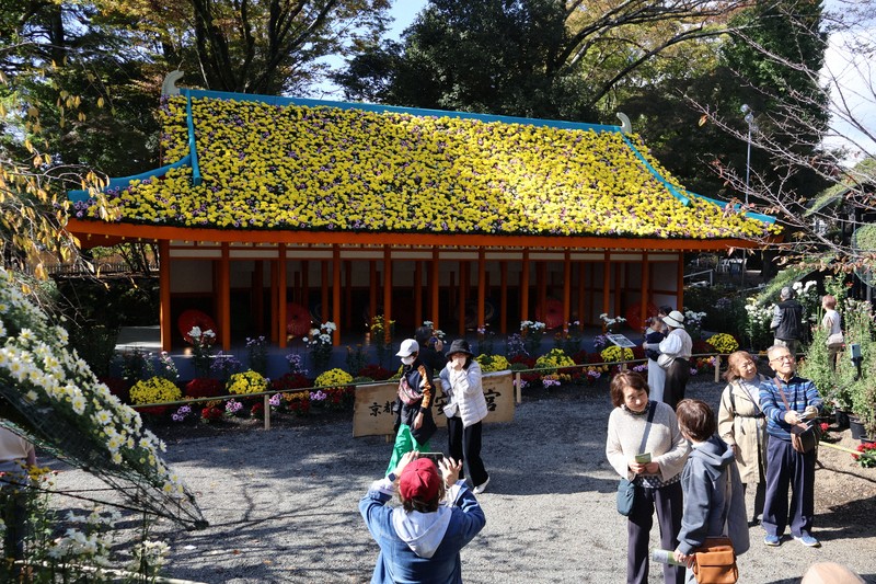 楽寿園菊まつり 今年のテーマは京都の平安神宮 8000鉢で表現 | 毎日新聞