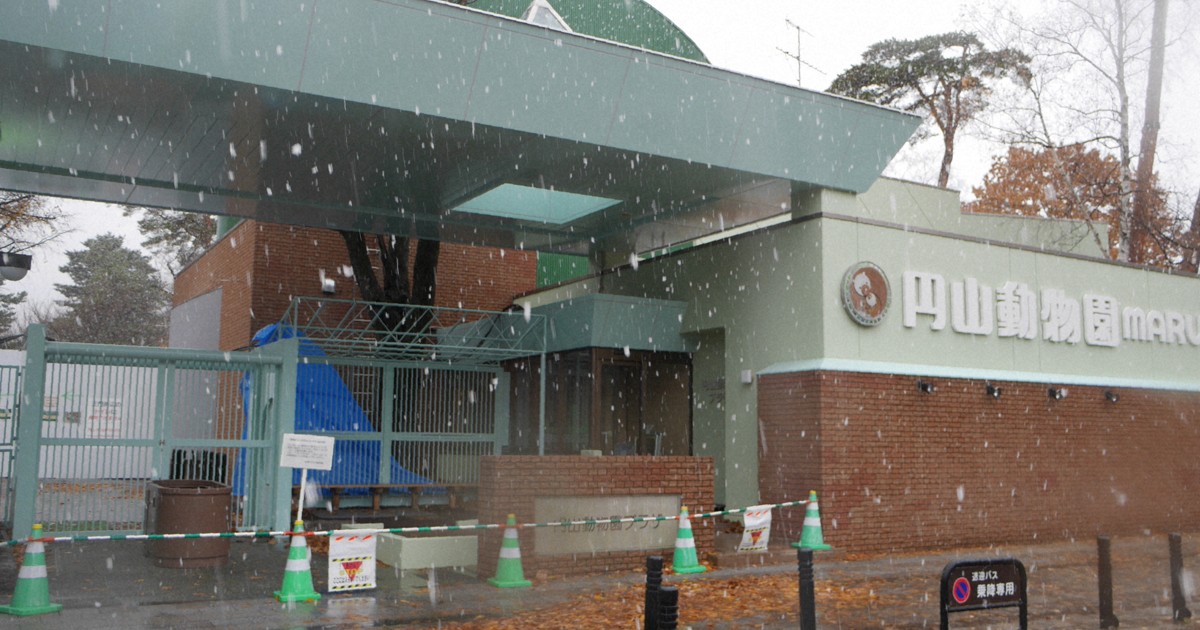 札幌・円山動物園でヒグマ駆除　9日以降に出没していた個体か